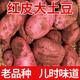 Hebei red-skinned large potatoes, fresh yellow-heart potatoes, freshly dug potatoes, ground eggs, potato noodles, hot pot wholesale, red-skinned large potatoes, 5Jin Jin is equal to 0.5kg, net weight, single fruit 150g+