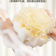 Special sale, pet bathing bath flower, bath foaming net, ball foaming bath ball, baby-grade skin-friendly bath ball, large bath flower, 1 pack 20g/piece