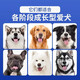 He Jiangong freeze-dried dog food universal type 10 Jin Jin is equal to 0.5 kg Golden Retriever Teddy Labrador adult puppy weight gain 5 Jin Jin is equal to 0.5 kg Small and large dogs 1 Jin Jin is equal to 0.5 kg Universal beef flavor pure food for all dogs High nutrition 10 Jin Jin is equal to 0.5 kg