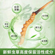 2025年头期鲜草新鲜冬虫夏草正品鲜虫草天然鲜虫草营养滋补送礼 西藏鲜草0.6-0.7克/条 50条送3条 冬虫夏草  顺丰发货