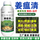Nongliangfeng Jiang Wenqing Jiang Wenqing special medicine for root rot, yellow leaf rot, neck stem rot and root rot microbial agent Jiang Wenqing 500g*20 bottles
