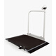 German Saikang Seca Scale de fauteuil roulant Hôpital Dialyse Dialyse Room Hemodialysis Platform Scale infirmière Station de personnes âgées Patient avec roues Échelle de poids de pliage mobile 677