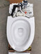 TOTO2025智能马桶座便器CES9575CES9788CES9614CES9433CES9898CES9878 CES7G310 305mm