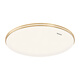 AMUSSIAGE LED personnalisé Gold et argent plafond de plafond rond 24w chambre atmosphérique légère télécommande