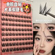 Eyelashes 100 clusters large capacity glue-free small dog false eyelashes for lazy people thick natural cartoon simulation segmented new style 100 clusters canine glue-free false eyelashes glue-free and easy to use to make your eyes bigger in seconds