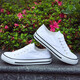 
European Pastoral Couple Canvas Shoes Men's 2025 Summer New Low Top Casual Sports Shoes Men's Trendy and Versatile (PJ) 6621 White 44
