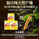 Jiuzhitang Taikang Tea 2 boxes Cordyceps sinensis Ganoderma lucidum nourishes liver protection enhances immunity gift high-end gift for people blue hat certification