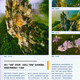 Самоправоме на качественные книги, журнал China National Geographic, журнал журнала National Geographic, Crossing National Highway 318, журнал специального планирования, Anner Mongolia Album, Qaidam, Цинхай-Тибет Хай, гора Da Hengduan, выпуск 701, Qaidam Clones Mars Mars.