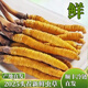 头期新鲜冬虫夏草大号鲜草顺丰冷链产地直发2025头茬新鲜虫草 西藏鲜虫草每条0.5-0.6克20条装