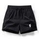 POLO SPORT American Ralph Lauren summer sports quick-drying pants three-quarter pants solid color loose POLO beach pants men's casual pants DK-260 black 5XL