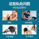 Correct men's private part care lotion to clean private parts, sterilize, inhibit and relieve itching, anti-inflammatory and vaginal itching, clean and odor, a bottle of men's private part wash, penis disinfection care solution, herbal mild men's private part cleaning liquid to wash down.