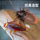 
Remote-controlled animal toys crawling Tik Tok cockroach Xiaoqiang simulates electric bug fake insect creative gift [classic version - remote control centipede] black model 9901+ [upgraded version] Another 24 electronics