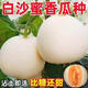 Qizhe Super Sweet White Sugar Melon Seed Super Sweet Early Melon Ripe Seed White Honey Melon Can High Yield Sweet Sugar Melon Seed Fruit All Seasons White Sugar Melon Seeds 1 Pack 50 Seasonal