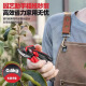 德力西SK5修枝剪园艺花艺果树剪刀家用省力树枝剪刀花枝专用剪枝神器 旗舰款1343