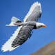 Aeronave de control remoto de volantes simulados de Burjuman, el águila puede volar a la aeronave eléctrica de aviones de ala fija, avión remoto, control remoto Eagle [paquete de regalo] Paquete de tres electricidad (la otra pieza es de 4 piezas en total)
