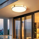 Deckenleuchte am Eingangshalle Lichter im Hausleuchten in der Balkon im Außenbalkon im Freien im Freien im Freien der Wasserdosen Villa 6626-40 cm-Drei-Farben-Leuchten-36W