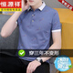 
Hengyuanxiang summer men's short-sleeved T-shirt lapel polo shirt trendy Korean ice silk half-sleeved T-shirt trendy men's top 679 white M (suitable: 100-120 Jin [Jin equals 0.5 kg])