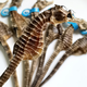 Haima medicinal materials, one male and one female, large seahorse dried wine combination, hexagonal sea dragon sea sparrow nourishing soup gift box 1 pair 4 grams (2 male and female 12-13cm)