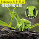Shantoulin Village Kabaso Дистанционное управление Mantis Electric Toy Scrank Artifact Boy Boy Moves Spider Crawling Animals [Классическая версия - дистанционное управление божьей коровкой] Красная модель 9922
