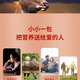 Ruijitang ruijitang break wand ganoderma lucidum spore pulver authentic changbai montage wild speziell