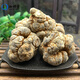 Jiaqitang Panax Notoginseng Chinesische Kräutermedizin Yunnan Wenshan Panax Notoginseng Wurzel 20 Köpfe Tianqi frisch ua yun panax Notoginseng Pulver [20 Köpfe von Panax Notoging] 50g