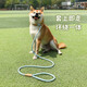 Dog rope training p chain explosion-proof dog walking rope dog rope chain medium p rope large, medium and small dog walking dog leash sky blue 1.5*0.6