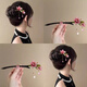 Bai Shilin's super fairy ancient-style hairpin for women, tassel-shaped hairpin, wooden hairpin, Hanfu cheongsam headdress, new Chinese style accessories for girlfriend, super fairy fringe hairpin