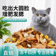 He Jian Gong Fresh Meat Nutritious Cat Food 5 Jin Jin equals 0.5 kg Ocean fish flavor adult cat food Stray cats universal 10 Jin Jin equals 0.5 kg 4 All-stage fresh meat food economical food 10 Jin Jin equals 0.5 kg 1lb
