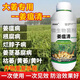 Nongliangfeng Jiang Wenqing Jiang Wenqing special medicine for root rot, yellow leaf rot, neck stem rot and root rot microbial agent Jiang Wenqing 500g*20 bottles