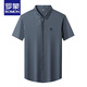Romon Camisa de manga corta de alta gama para hombres Mulberry Silk 2025 Summer Nuevo producto Negocio Casual sin hierro Camiseta de rayas vertical para hombres Imagen de video principal blanca 62 VERTICAL LLEA CORTA 170L Recomendado 120-140Jin [Jin equivale a 0.5 kg]