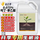 0.075% Indole Acetic Acid Naphthalene Acetic Acid Rose Root Promoting Root Cutting Promotes Cutting Germination Plant Growth Regulator 5L 1L*5 Bottle