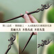 Crystal black sandalwood hairpin for women, high-end new Chinese style wooden hairpin, ancient style Hanfu step-shaking hairpin, practical gift