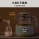 Joyoung constant temperature kettle 1.2L constant temperature kettle for baby milk making without glue 72H constant temperature electric kettle health kettle milk warmer milk warmer milk regulator brewing milk 72 hours constant temperature Q576- 1.2L lotus stem green