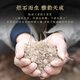 Лу Чженгао зеленый чай Qiantang Longjing Tea Gift Box Специальный уровень 200G Новый чай династия Ming Пожилой весенний чай в середине осени Фестиваль Вест-Лейк подарок