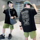 Pregunta Fan Summer Traje Set Summer 2025 NUEVO NIÑOS Sports Cool Style Summer Style Large Large's Large's Tendy Handy Fashion Green [9766] 120 Adecuado para la altura [105-115] CM