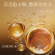 
Beijing Tongrentang Ganoderma lucidum spore powder spore powder breaks the wall to enhance immunity Ganoderma lucidum spore powder middle-aged and elderly gifts for elders. Broken wall Ganoderma lucidum spore powder capsules 6 boxes
