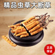 Cordyceps sinensis hohe Höhe Cordyceps echte nahrhafte 20 Gramm erhalten 2 Gramm für selbstverwendungs ​​authentisches Heim-Outfit. Kaufen Sie 10 Gramm erhalten 1 Gramm