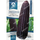 White, sweet and waxy corn seeds, high-yielding, sown in all seasons, white and waxy corn, non-transferable, national-approved, farmers’ super-sweet and waxy corn seeds, Xinnuo 628 corn seeds, original 200g, 1 bag