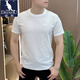 Kangourou (Daishu) 2025 T-shirt à manches courtes pour hommes à manches courtes en été Luxury Luxury Polyme Rond Round Col Colon High Quality Trendy Halfheved Ice Silk Shirt 1105 White Light Luxury Texture 4xl 175-190jin [Jin est égal à 0,5 kg]