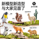 知识花园动物模型玩具儿童3-6岁动物园男女孩六一儿童节礼物 56件套