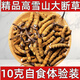 Cordyceps sinensis hohe Höhe Cordyceps echte nahrhafte 20 Gramm erhalten 2 Gramm für selbstverwendungs ​​authentisches Heim-Outfit. Kaufen Sie 10 Gramm erhalten 1 Gramm
