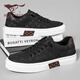 Sieben Wolf -Männerschuhe Sommer 2025 Neue Brettschuhe Herren -Leinwandschuhe Dicke Sohle atmungsaktive Männer lässige Schuhe Vielseitige Männerschuhe flache Schuhe schwarz [atmungsaktives Stil] 42 (260 mm) [Standard Lederschuhgröße]
