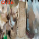 
OUOETY natural whole wood natural edge camphor wood old material solid wood sheet original ecological tea countertop wood board custom wood Q1278 length 150 width 33-41 thickness 5.5 polished delivery