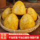 富世康窝窝头粗粮山东手工小米面黄豆面黑豆杂粮窝头饱腹早餐代餐老字号 675g*3袋