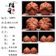 少羽文玩核桃三棱正奔天然盘山文山四楞野生高端收藏级把件 16822【34盘山正奔】