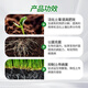 蒂花妍枯草芽孢菌杆菌农用微生物菌肥枯草杆菌菌剂菌肥菌种防病肥料