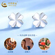 CHINA GOLD PT950 Platinum Four-leaf Clover Earrings 2025 New Earrings Valentine's Day Birthday Gift for Girlfriend and Wife Gift Platinum Lucky Four-leaf Clover Earrings for Girlfriend About 1.4g Zhongjin Gift Box