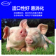 Zhengzhou Kangdi 4% piglet premix, fattening pig premix, large pig feed, pig premix, skeleton fattening 4% piglet (30Jin Jin is equal to 0.5kg -60Jin Jin is equal to 0.5kg for pigs)