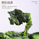 京九州正宗安溪铁观音 2025新茶高山兰花香乌龙茶清香型茶叶250g