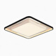 Yingtang 2025 new store Guanghui WCX11965 living room lights home bedroom ceiling lights modern and simple Guanghui 1095*695mm160W white and black